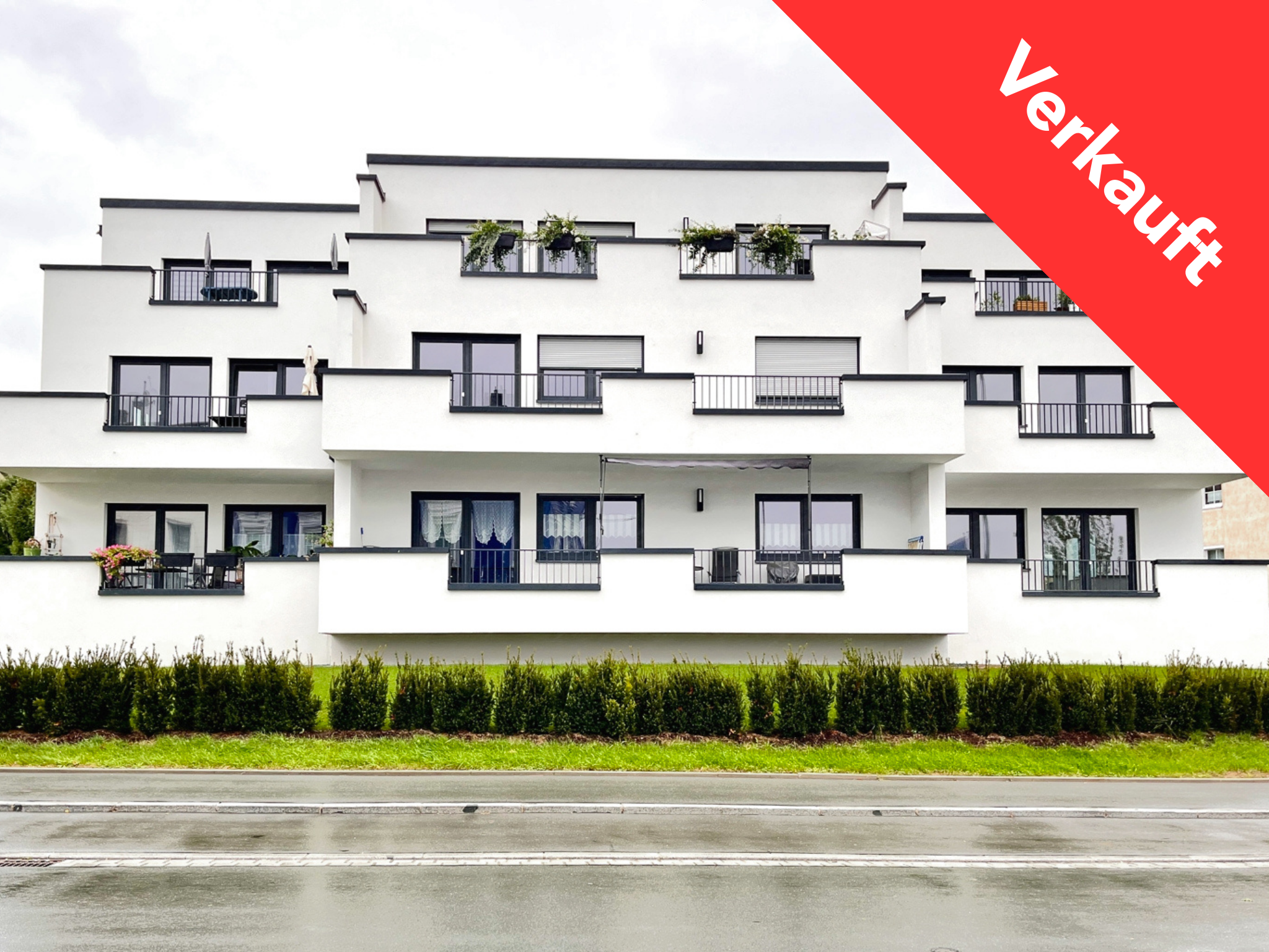 Grün Rot Weiß Kalligraphisch Animiert Vegan Info Instagram Post (72)