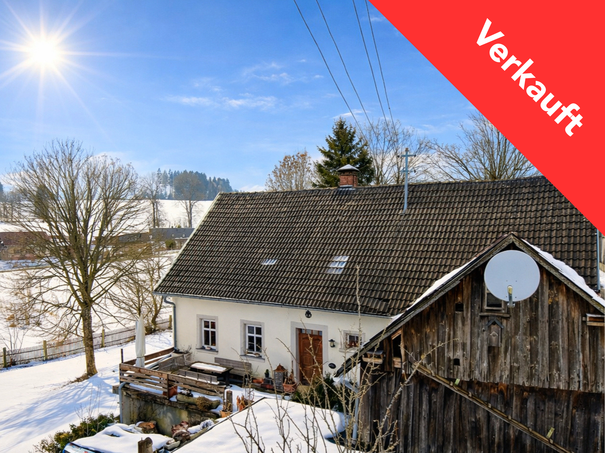 Grün Rot Weiß Kalligraphisch Animiert Vegan Info Instagram Post – 2026-03-13T163717.607