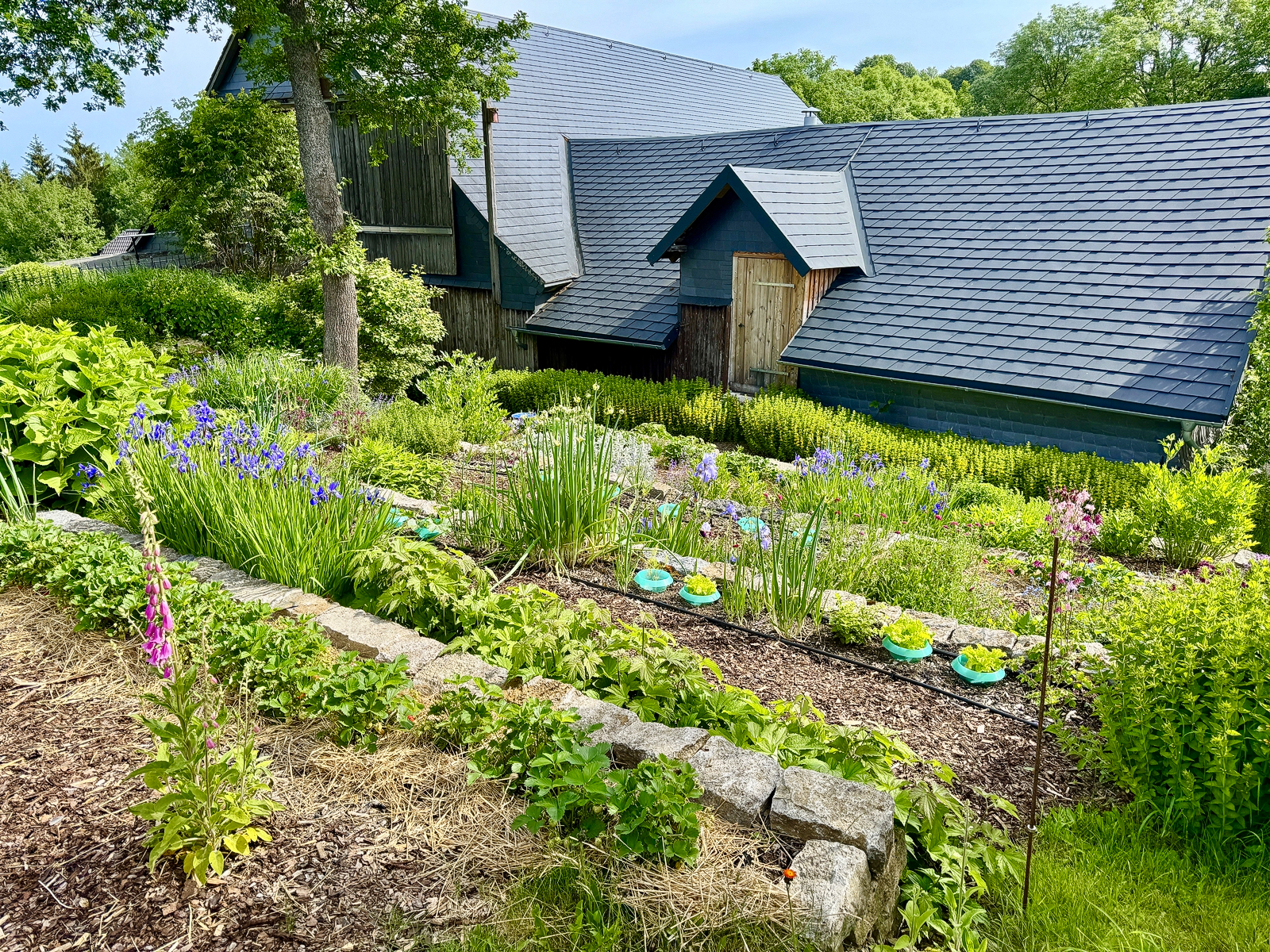 Selbstversorger-Garten