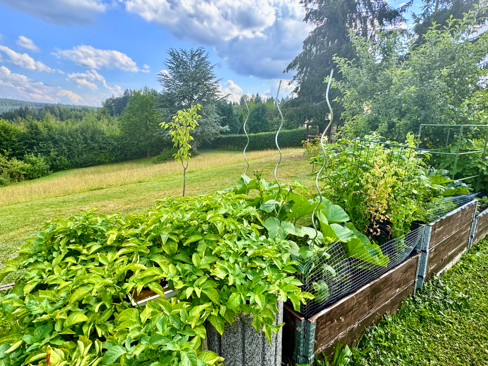 Garten