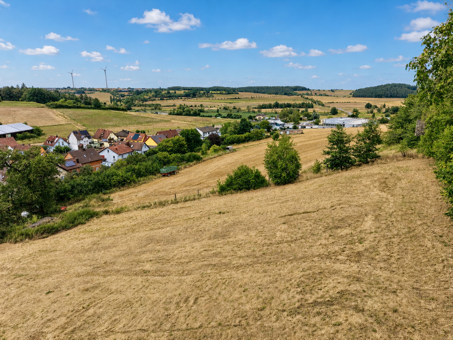 Fernblick