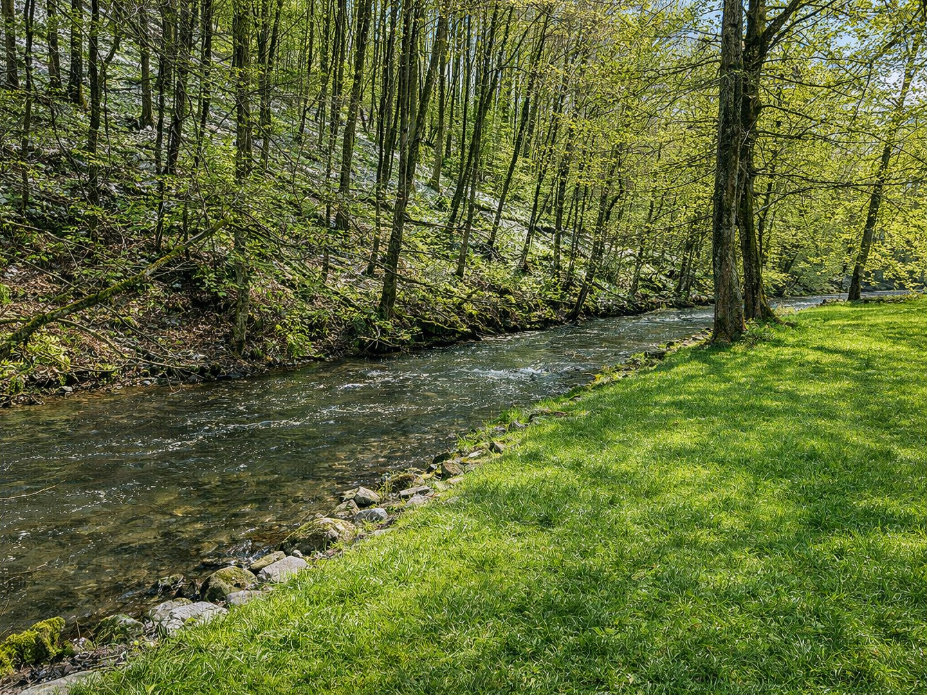 angrenzender Bachlauf