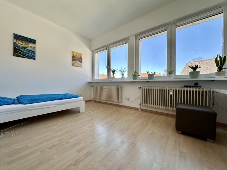 Attraktive Kapitalanlage! Gut vermietetes Appartment in Altenplos